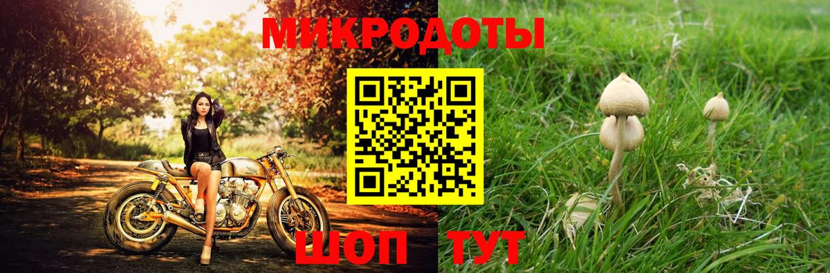 Галлюциногенные грибы мицелий Рыбинск